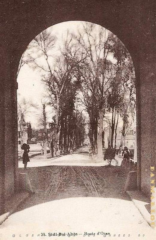 Sidi bel abbes 358.jpg